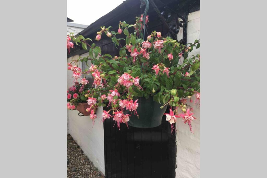 The Nook At West Langton Lodge 마켓하보로 외부 사진